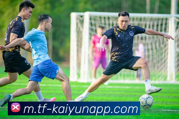 开云体育平台生态图