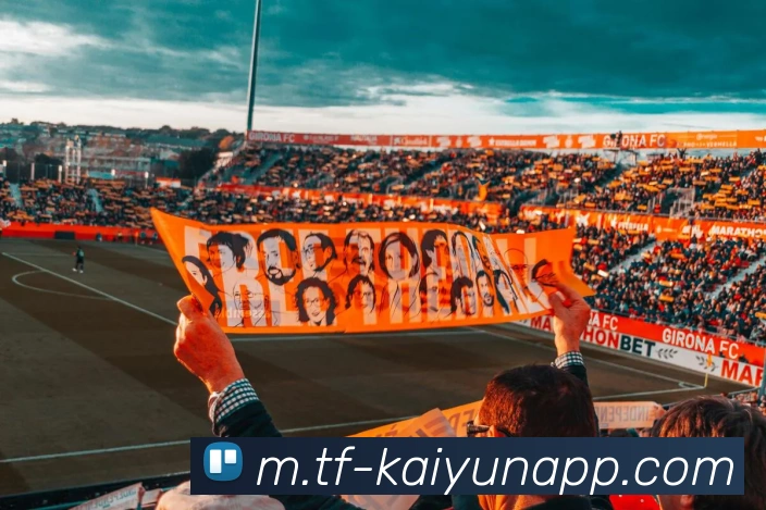 开云体育APP 封面图