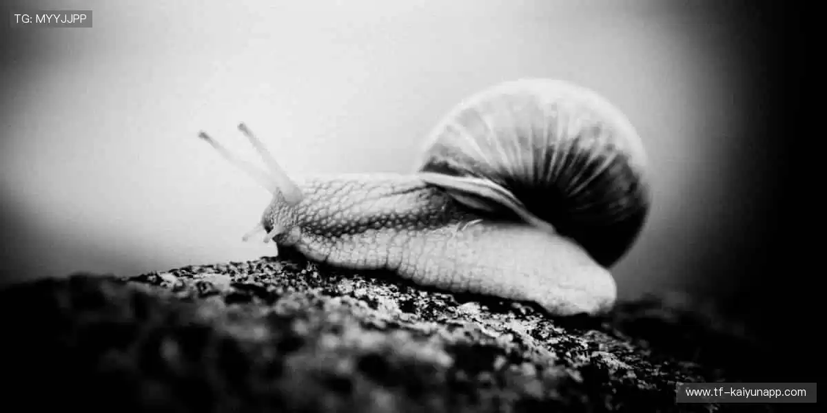 一键开启赛事盛宴！📺 超清画质，身临其境的热血对决！